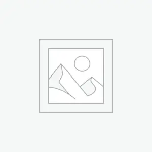 Printed Maroon Tshirt